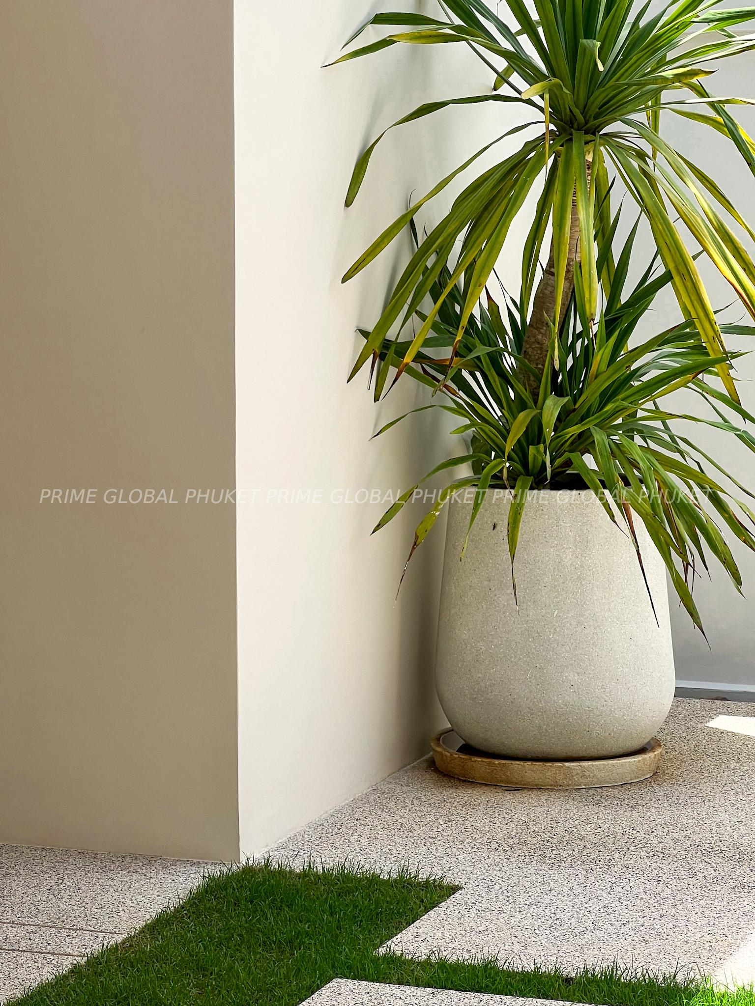 285 Sq.m Villa Plots for Sale in Bangtao