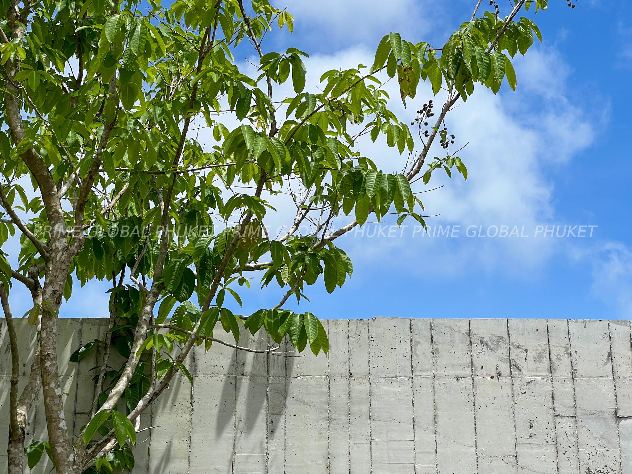 285 Sq.m Villa Plots for Sale in Bangtao