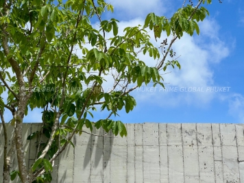 285 Sq.m Villa Plots for Sale in Bangtao