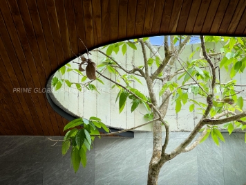 285 Sq.m Villa Plots for Sale in Bangtao