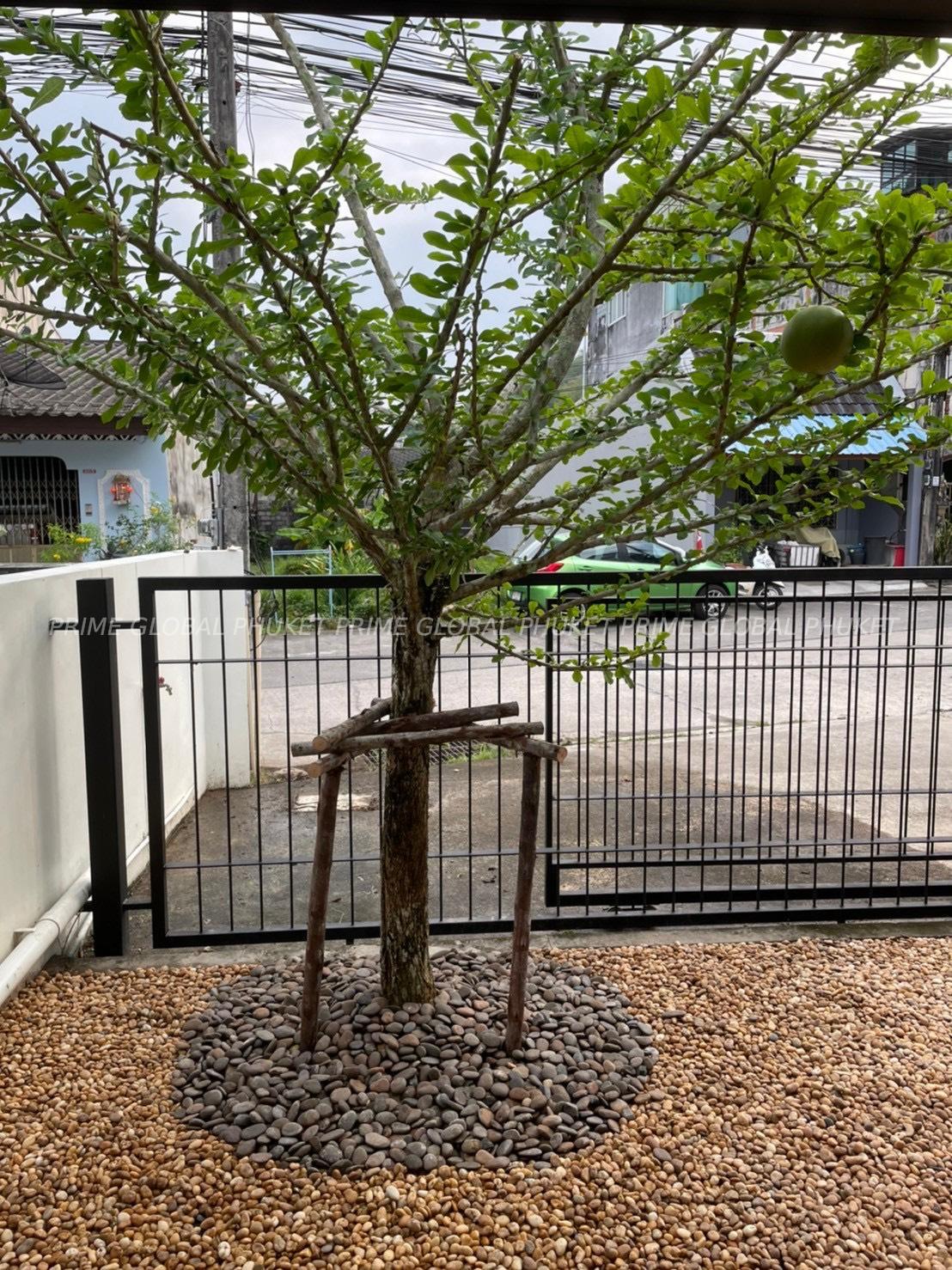 160 Sq.m House for Rent and Sale in Phuket town